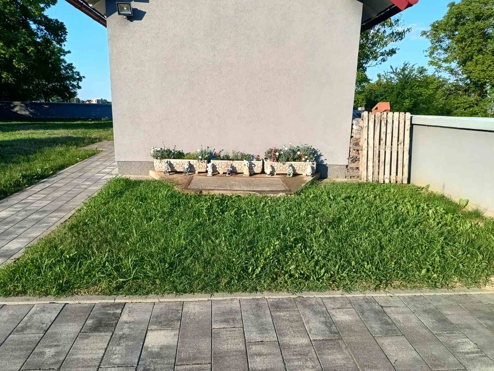 Cvijeće